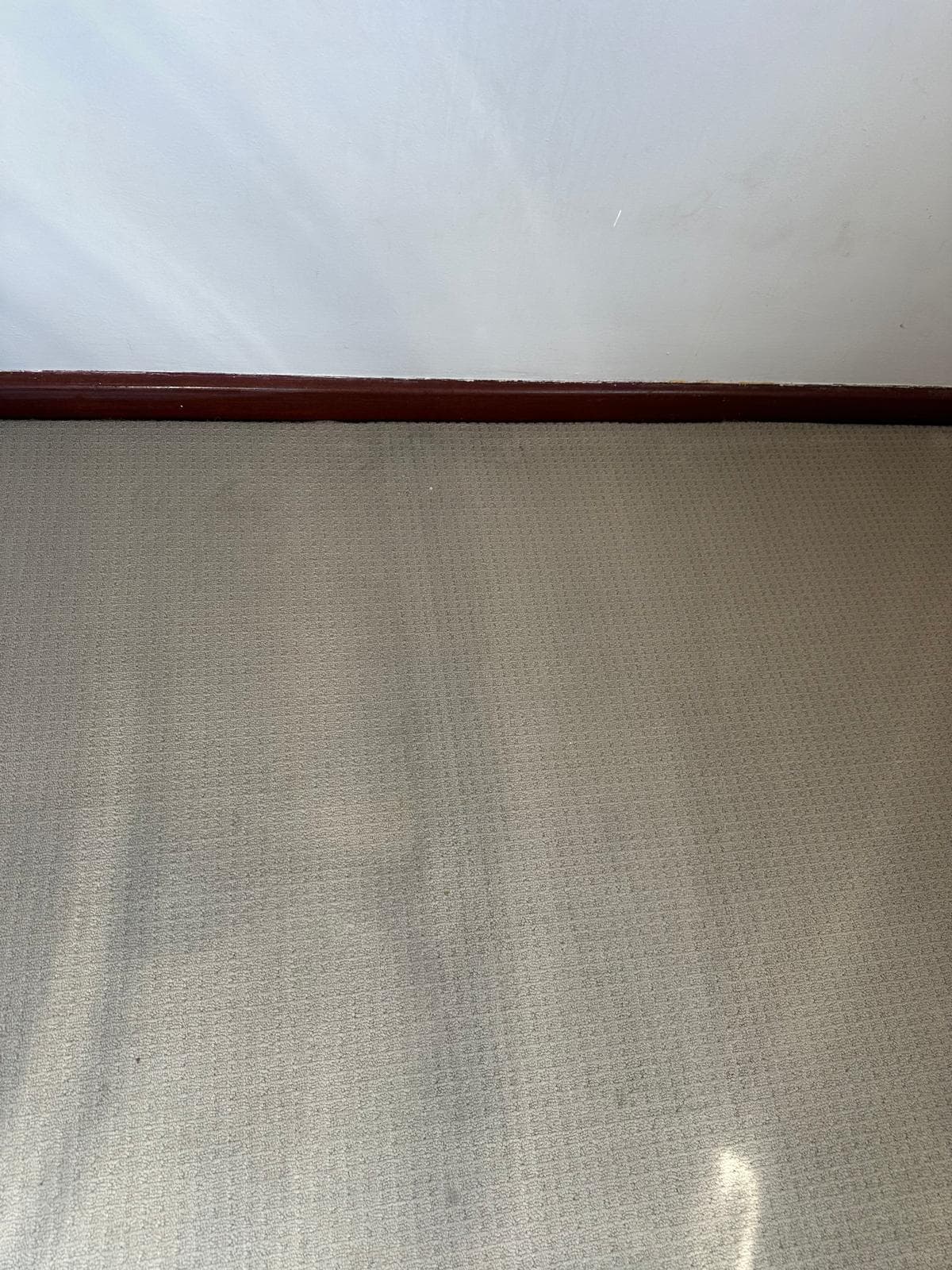 Carpet Deep Clean — after