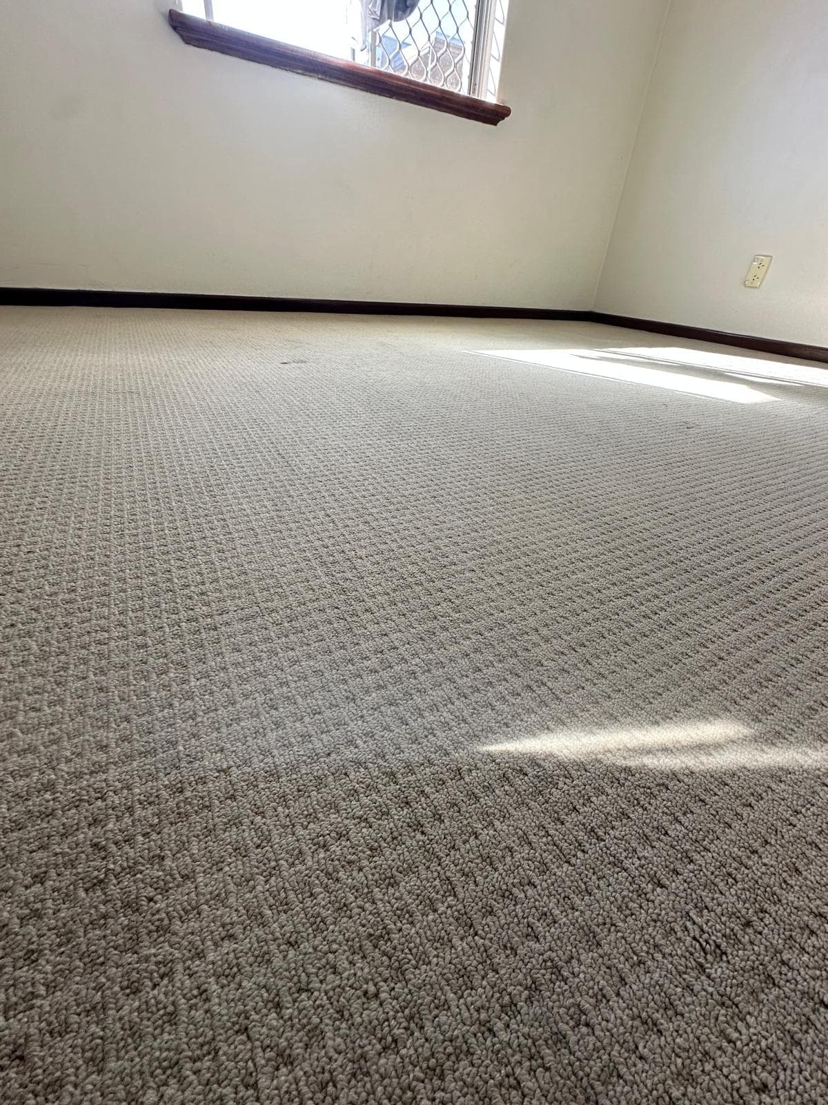 Carpet Deep Clean — before